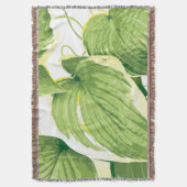 イチジク植物2 スローブランケット (正面縦)