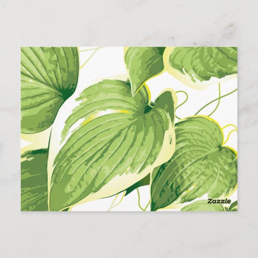 イチジク植物2 ポストカード (裏面)