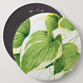 イチジク植物2 缶バッジ (正面&裏面)