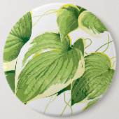 イチジク植物2 缶バッジ (正面)