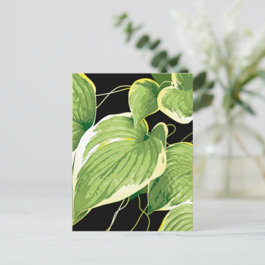 イチジク植物3 ポストカード (スタンド正面)