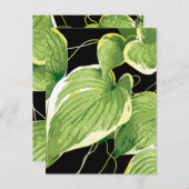 イチジク植物3 ポストカード (正面/裏面)