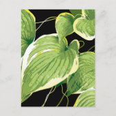 イチジク植物3 ポストカード (正面)