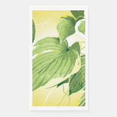 イチジク植物4 (正面)