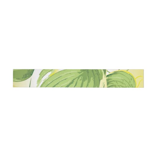 イチジク植物4 ラップアラウンドラベル (単一)