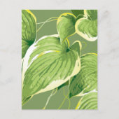 イチジク植物5 シーズンポストカード (正面)