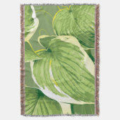 イチジク植物5 スローブランケット (正面縦)