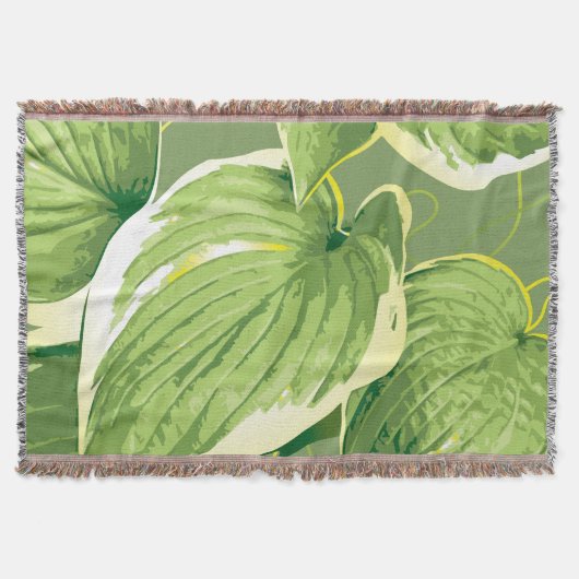 イチジク植物5 スローブランケット (正面)