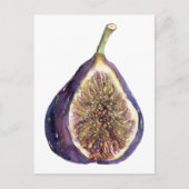 イチジク絵を描の ポストカード (正面)