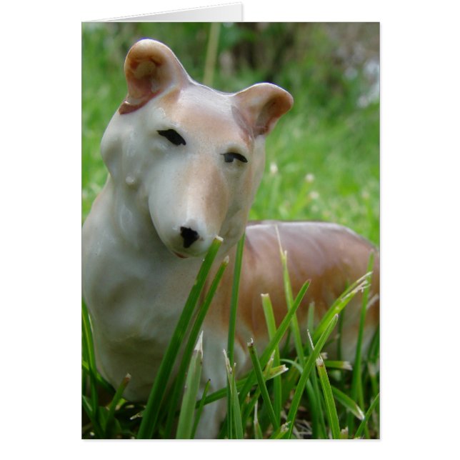 イチジク (正面)