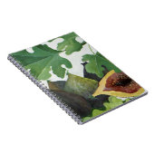 イチジク2013年 ノートブック (右側)