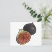 イチジク ポストカード (スタンド正面)