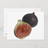 イチジク ポストカード (正面/裏面)