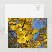 イチョウの葉 ポストカード (正面/裏面)