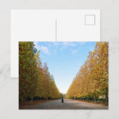 イチョウ並木：東京 ポストカード (正面/裏面)