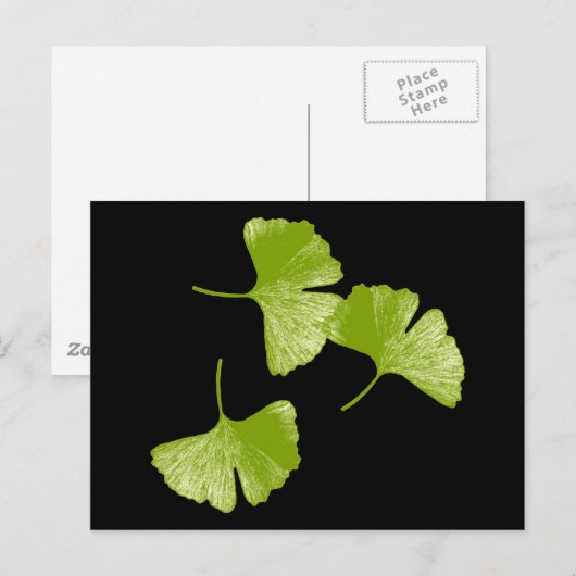 イチョウ葉 ポストカード (正面/裏面)