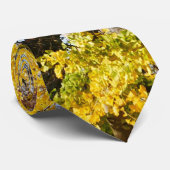 イチョウ ネクタイ (ロール)