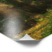 イチョウ フォトプリント            (角)