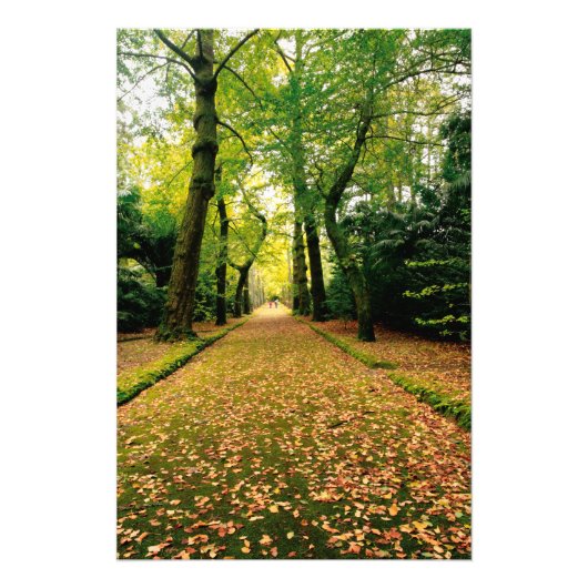 イチョウ フォトプリント            (正面)