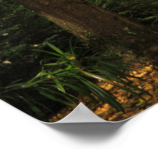 イチョウ ポスター (角)