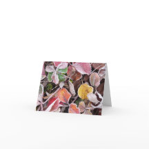 イチ凍っていゴ