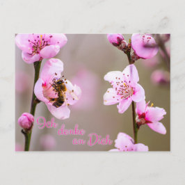 イチ・デンケとディッチ！ ポストカード