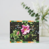 イチ・ビン・ショーン ポストカード (スタンド正面)