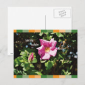 イチ・ビン・ショーン ポストカード (正面/裏面)