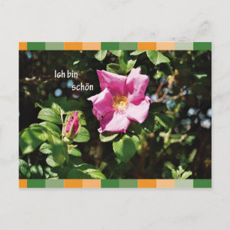 イチ・ビン・ショーン ポストカード