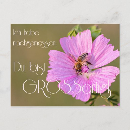 イッハビナチゲムセン:デュビストのグロースアート! ポストカード (正面)