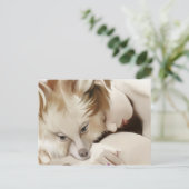 イップス・フォガール ポストカード (スタンド正面)