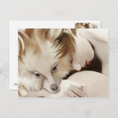 イップス・フォガール ポストカード (正面/裏面)