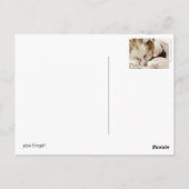 イップス・フォガール ポストカード (裏面)