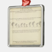 イディオ、統計USリトグラフ1870 メタルオーナメント (左)