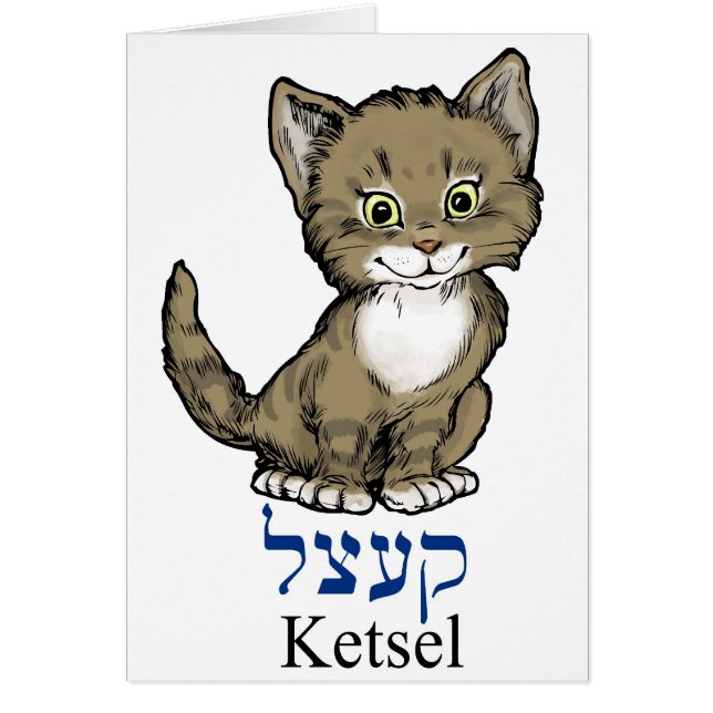 イディッシュ語のかわいく小さい子ネコ"ketsel" (正面)