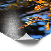 イディルワイルドパインコーブ フォトプリント            (角)