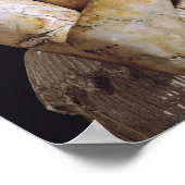 イトゥル・シャマゲン像の詳細 ポスター (角)