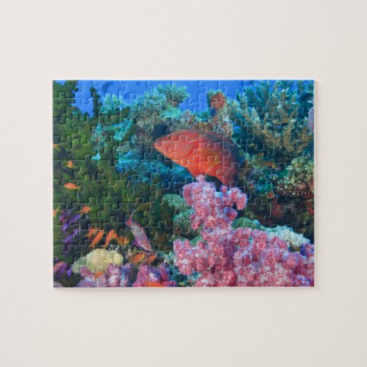 イトヒキハナグロ (Pseudanthias ジグソーパズル (横)