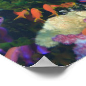 イトヒキベラ属の魚 (Pseudanthias ポスター (角)