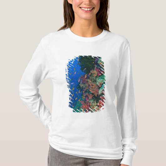 イトヒキベラ属の魚（Pseudanthias Tシャツ (正面)
