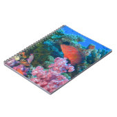 イトヒキベラ属 (Pseudanthias ノートブック (左側)