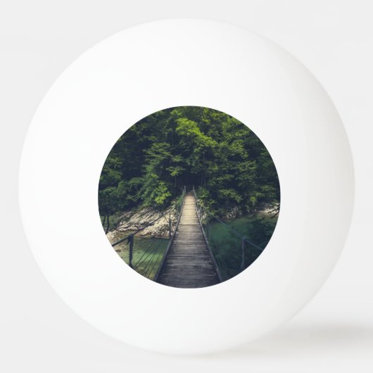 イドリジシンプルカ・スラブ川にかかる吊り橋 卓球ボール (正面)