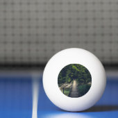 イドリジシンプルカ・スラブ川にかかる吊り橋 卓球ボール (ネット)