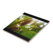 イナゴの国のタイルのセット タイル (側面)