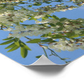 イナゴの白い花の抽象芸術 ポスター (角)