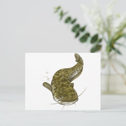 イナゴ日本のキ ポストカード (スタンド正面)