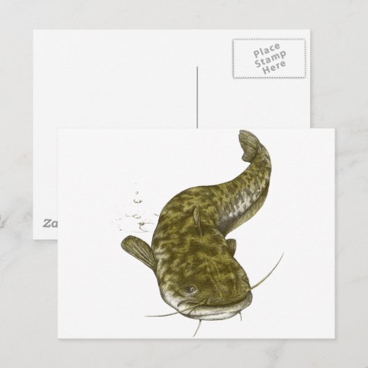 イナゴ日本のキ ポストカード (正面/裏面)