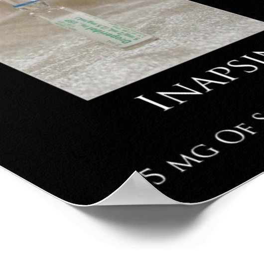 イナプシン ポスター (角)