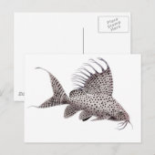 イナマガキのシノボク葉書 ポストカード (正面/裏面)