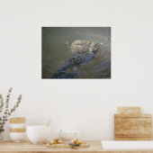 イナマズ川と亀 ポスター (キッチン)